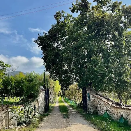 Appartamento Casa Dell'antica Norba, - Big House